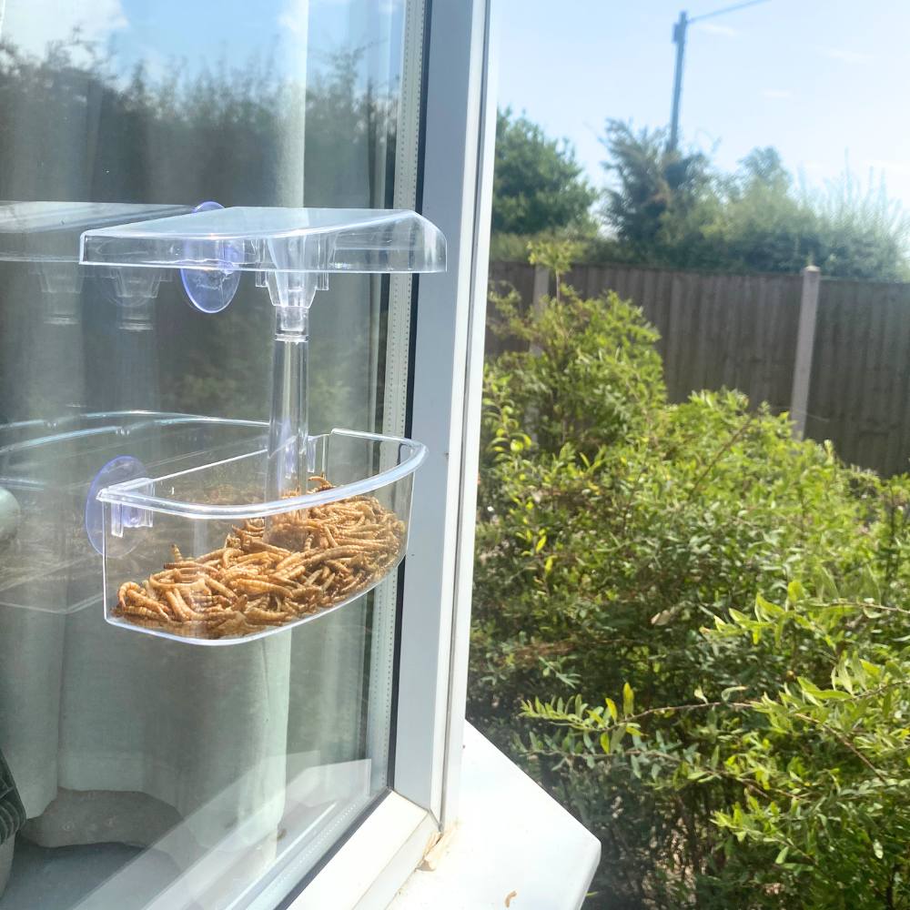 Large Window Bird Feeder